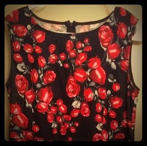 NWT, knee length swing dress.